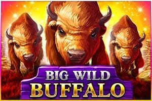 Big Wild Buffalo 2